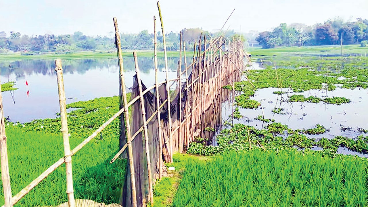 উন্মুক্ত জলাশয় ইজারামুক্ত রাখার এখনই সময়
