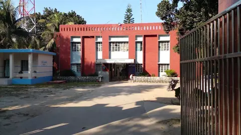 বউ-শাশুড়ির ঝগড়ার পর শাশুড়ির মৃত্যু, পুত্রবধূ আটক