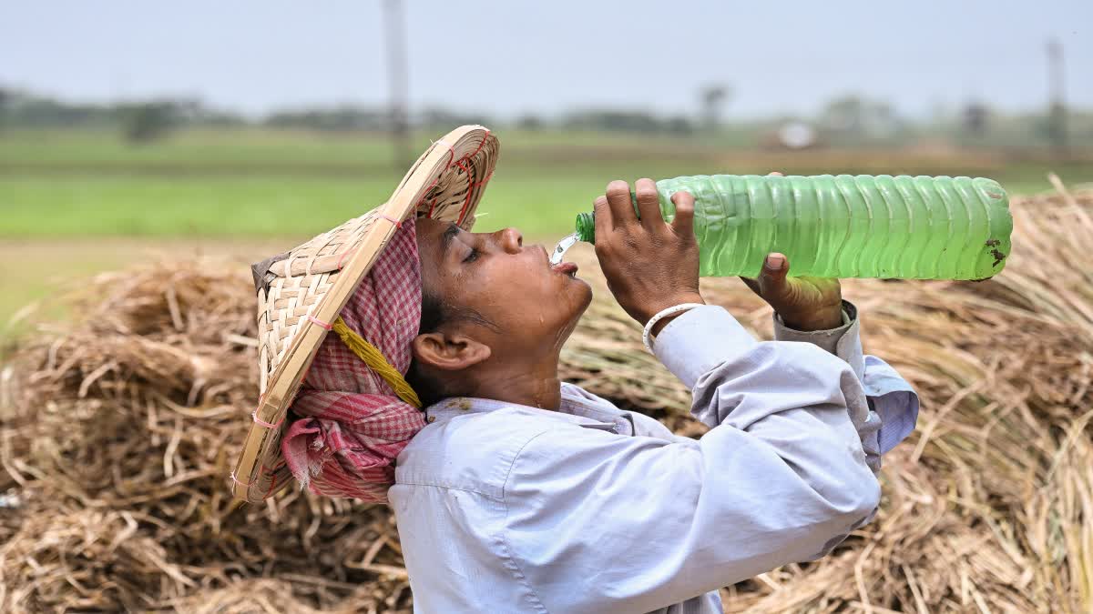 মৃদু তাপপ্রবাহ অব্যাহত থাকতে পারে যে ৮ জেলায়