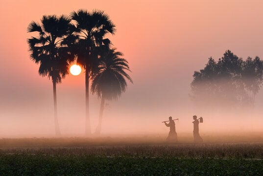 শীতের অপরূপ বাংলাদেশ