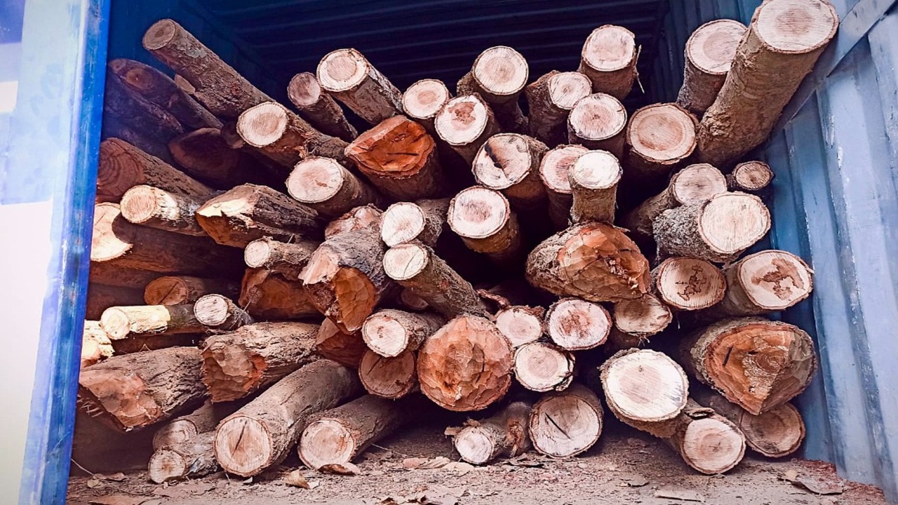 গাজীপুরে গাড়িসহ ১০০ গাছ জব্দ করলো বন বিভাগ