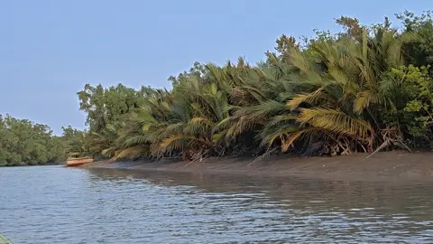 সুন্দরবনে বনদস্যুর হাতে চার জেলে অপহরণ
