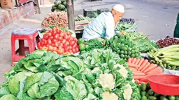 আগাম শীতকালীন সবজি, উত্তাপ ছড়াচ্ছে বাজারে