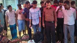 মাছে মেশানো হচ্ছে ক্ষতিকর ভেজাল, ঝুঁকিতে ভোক্তার স্বাস্থ্য