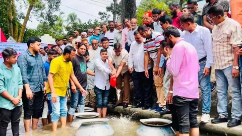 প্রতিষ্ঠাবার্ষিকীতে মাছের পোনা ছাড়ল খুলনা বিএনপি