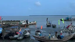 নদী ছাড়ছেন জেলেরা, মধ্যরাত থেকে ইলিশ ধরায় ২২ দিনের নিষেধাজ্ঞা