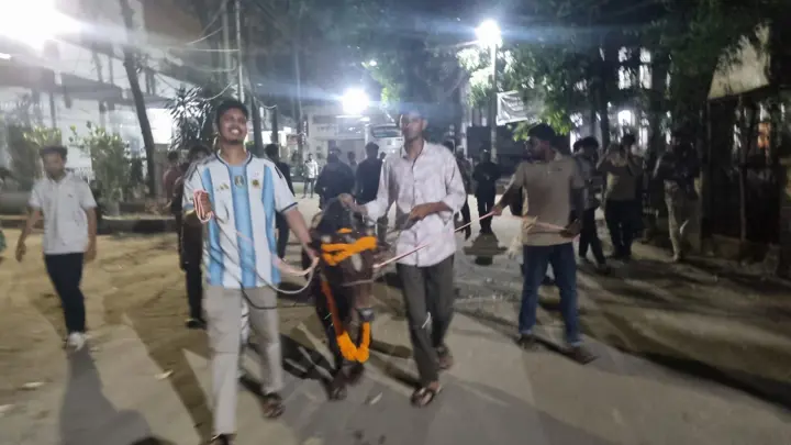 জবি ক্যাম্পাসে গরু নিয়ে আনন্দ মিছিল
