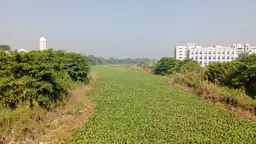 নাব্য সংকটে শিবচরের নদ-নদী: অস্তিত্ব হারানোর পথে ‘মরা আড়িয়াল খাঁ’