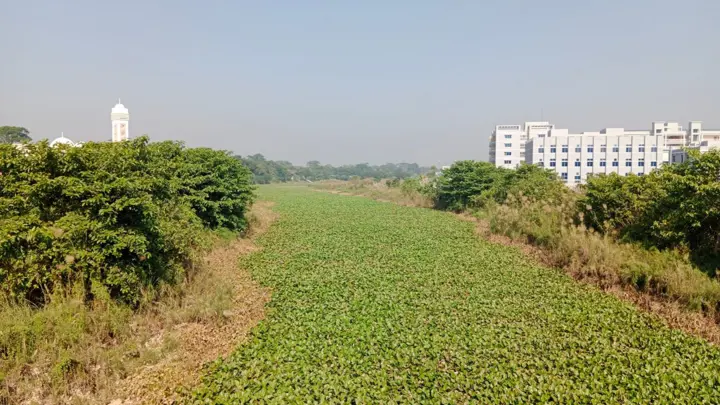 নাব্য সংকটে শিবচরের নদ-নদী: অস্তিত্ব হারানোর পথে ‘মরা আড়িয়াল খাঁ’