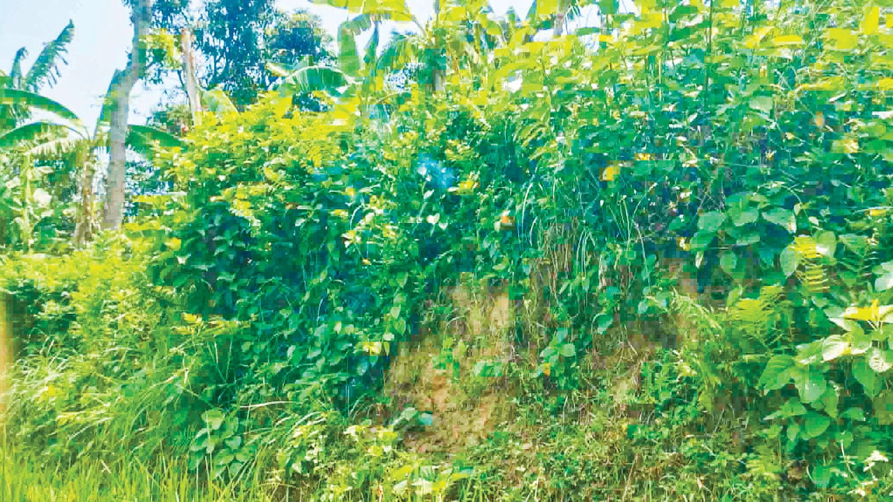 রামচন্দ্র খাঁর রাজবাড়ী: ইতিহাস ও প্রত্নচিহ্নের সন্ধানে