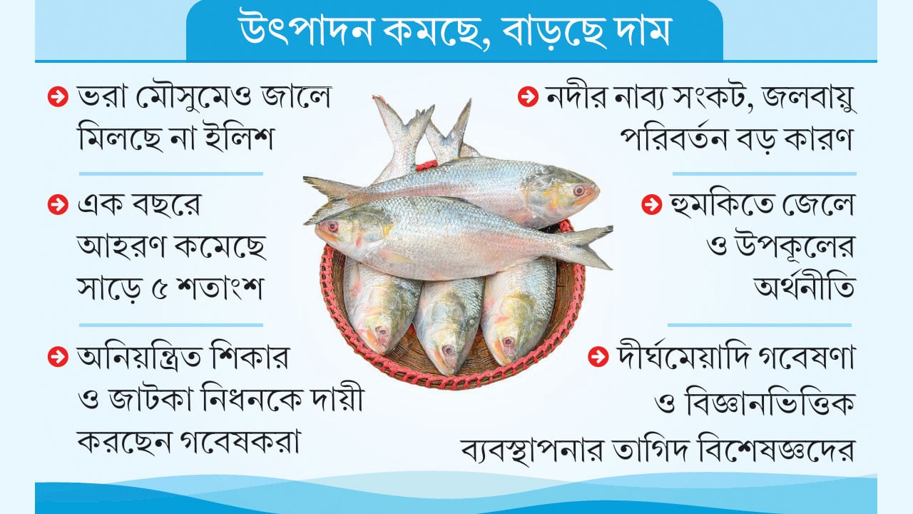 ইলিশের আকাল