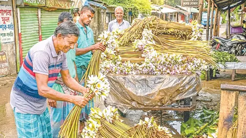 ইলিশের দাম কমলে কদর বাড়ে শাপলার
