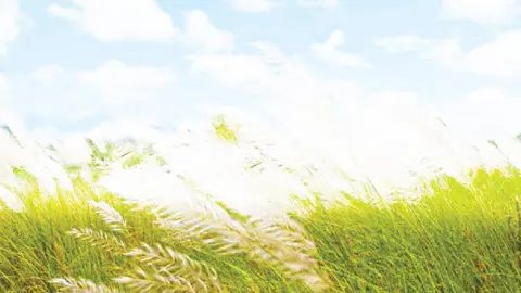 ঋতুরানি শরৎ