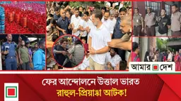 মিড ডে নিউজ: এলপিজি নির্ধারিত মূল্যে বিক্রি নিশ্চিতে ডিসিদের আইনগত ব্যবস্থা নেয়ার নির্দেশ