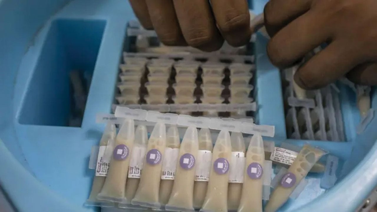 কলেরার টিকা কেন এখন, কারা পাবেন এই টিকা