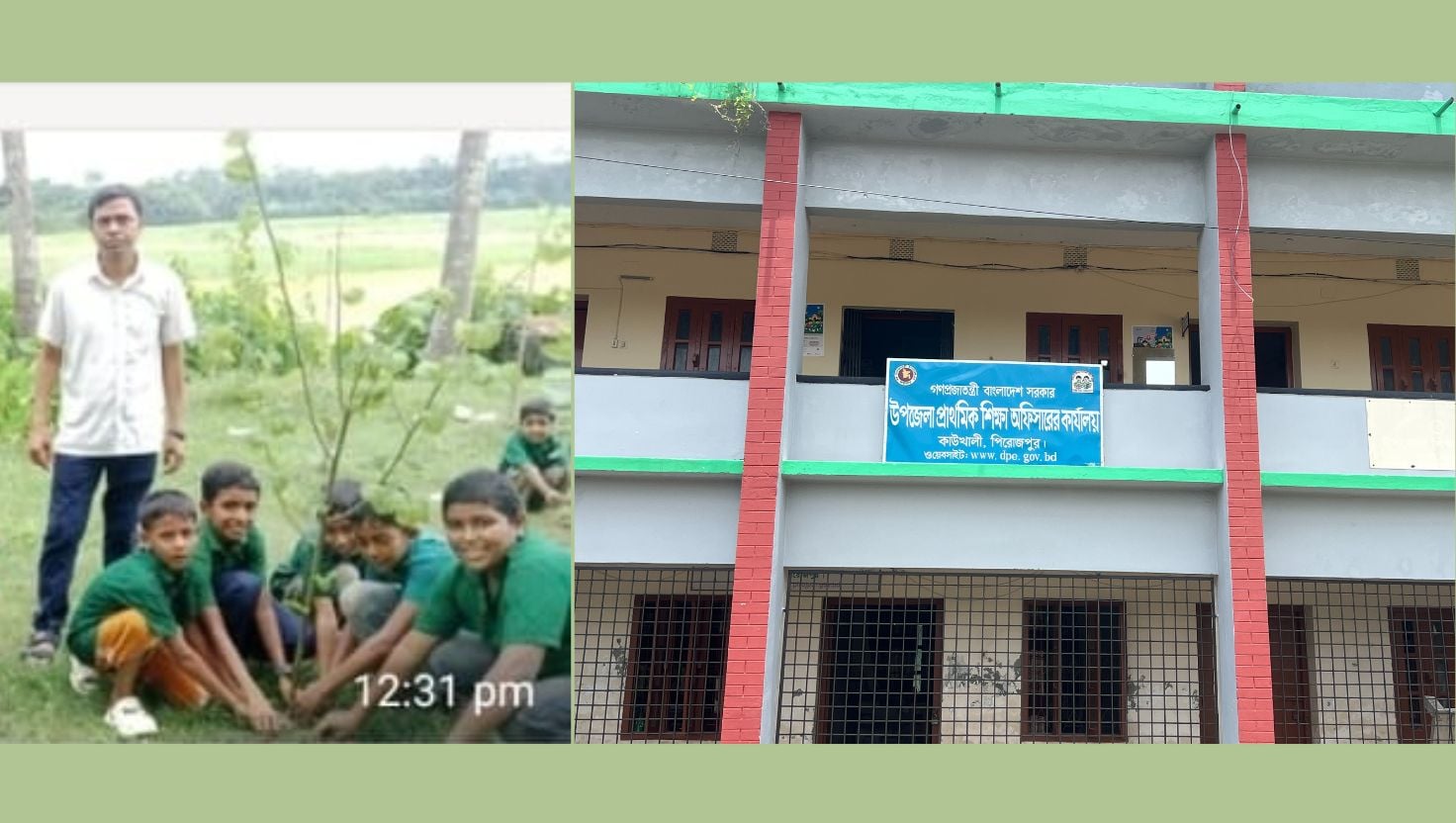 কাউখালীতে গাছের চারার বদলে ডাল রোপণ, প্রধান শিক্ষক বরখাস্ত