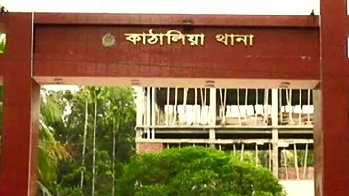 কাঁঠালিয়ায় অগ্নিকাণ্ডে পুড়ল ১২ দোকান, কোটি টাকার ক্ষতি