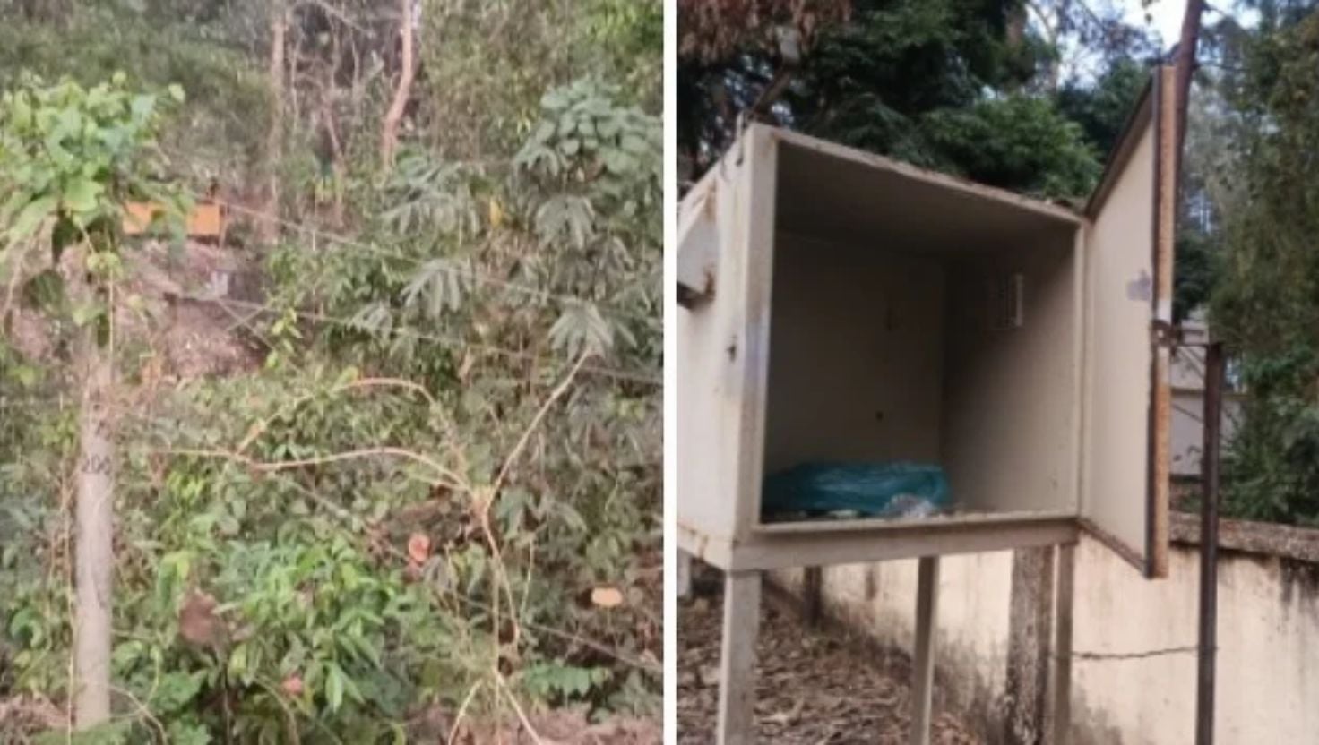 কাপ্তাইয়ে সৃষ্টি হচ্ছে হাতি-মানুষ দ্বন্দ্ব 