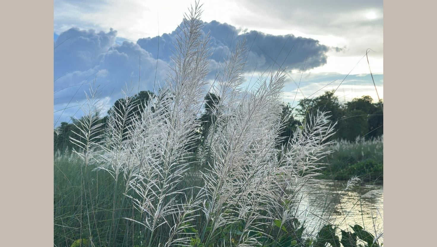 ছবি: আমার দেশ
