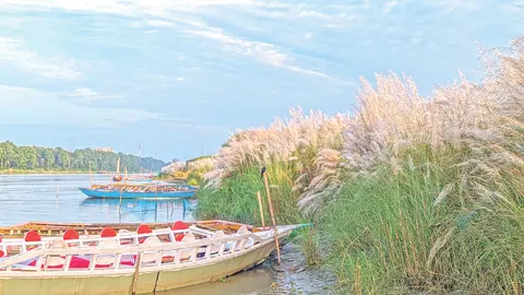 ব্রহ্মপুত্রের কোলে কাশফুলের রাজ্য