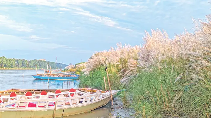 ব্রহ্মপুত্রের কোলে কাশফুলের রাজ্য