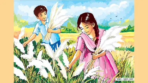 কাশফুল তুলতুল