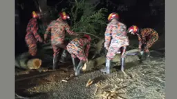 ঢাকা-চট্টগ্রাম মহাসড়কে উপড়ে পড়া গাছ অপসারণ, যান চলাচল স্বাভাবিক
