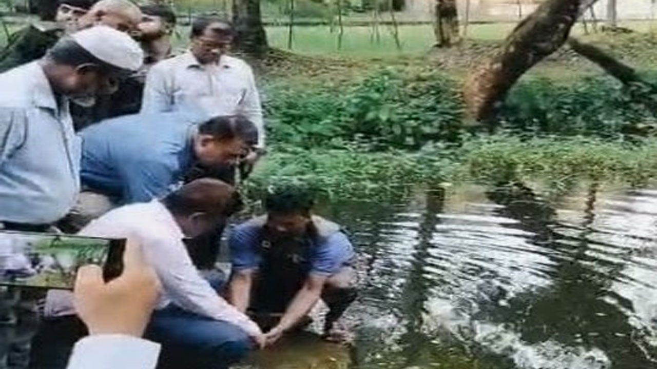 চরফ্যাশনে ১০৭ টি বিপন্ন প্রজাতির কচ্ছপ উদ্ধার
