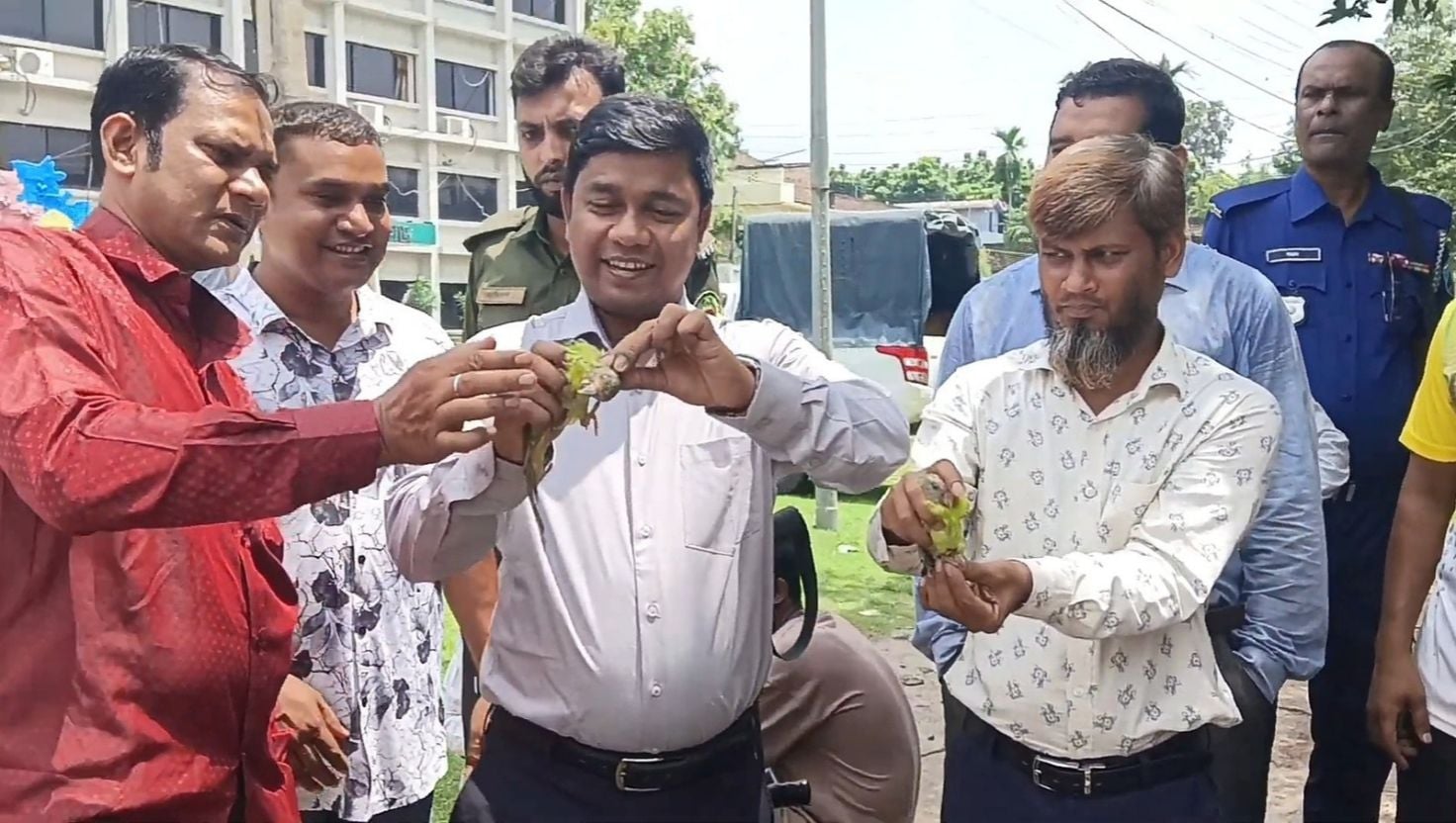 শিবগঞ্জে ১১টি টিয়াপাখি অবমুক্ত, শিকারের সরঞ্জাম ধ্বংস