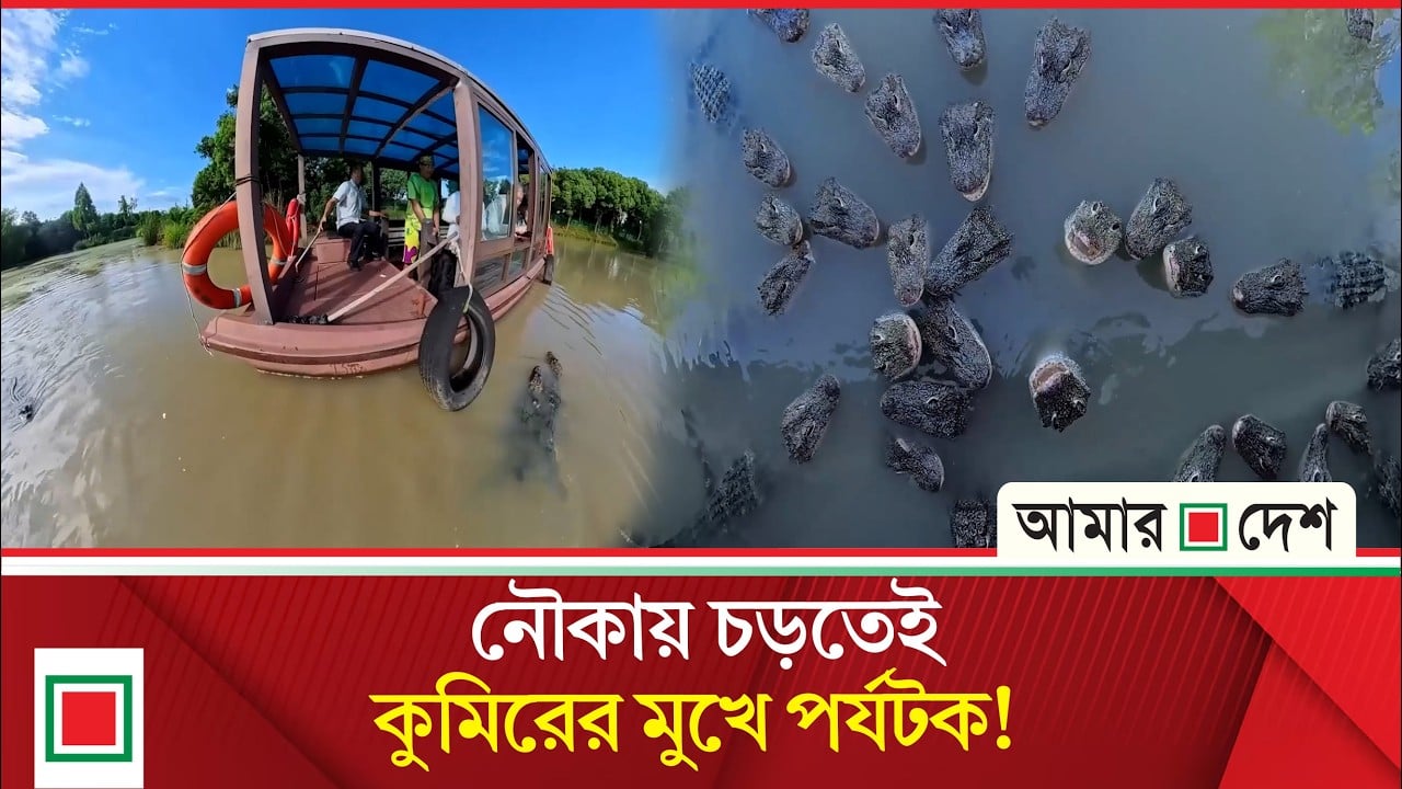 চারদিক থেকে ধেয়ে আসছে অসংখ্য কুমির, পর্যটকদের ভয়াল অভিজ্ঞতা!