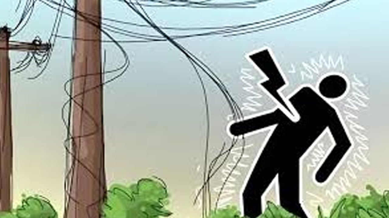 চুয়াডাঙ্গায় বিদ্যুৎস্পৃষ্টে স্বামী-স্ত্রীসহ চারজনের মৃত্যু
