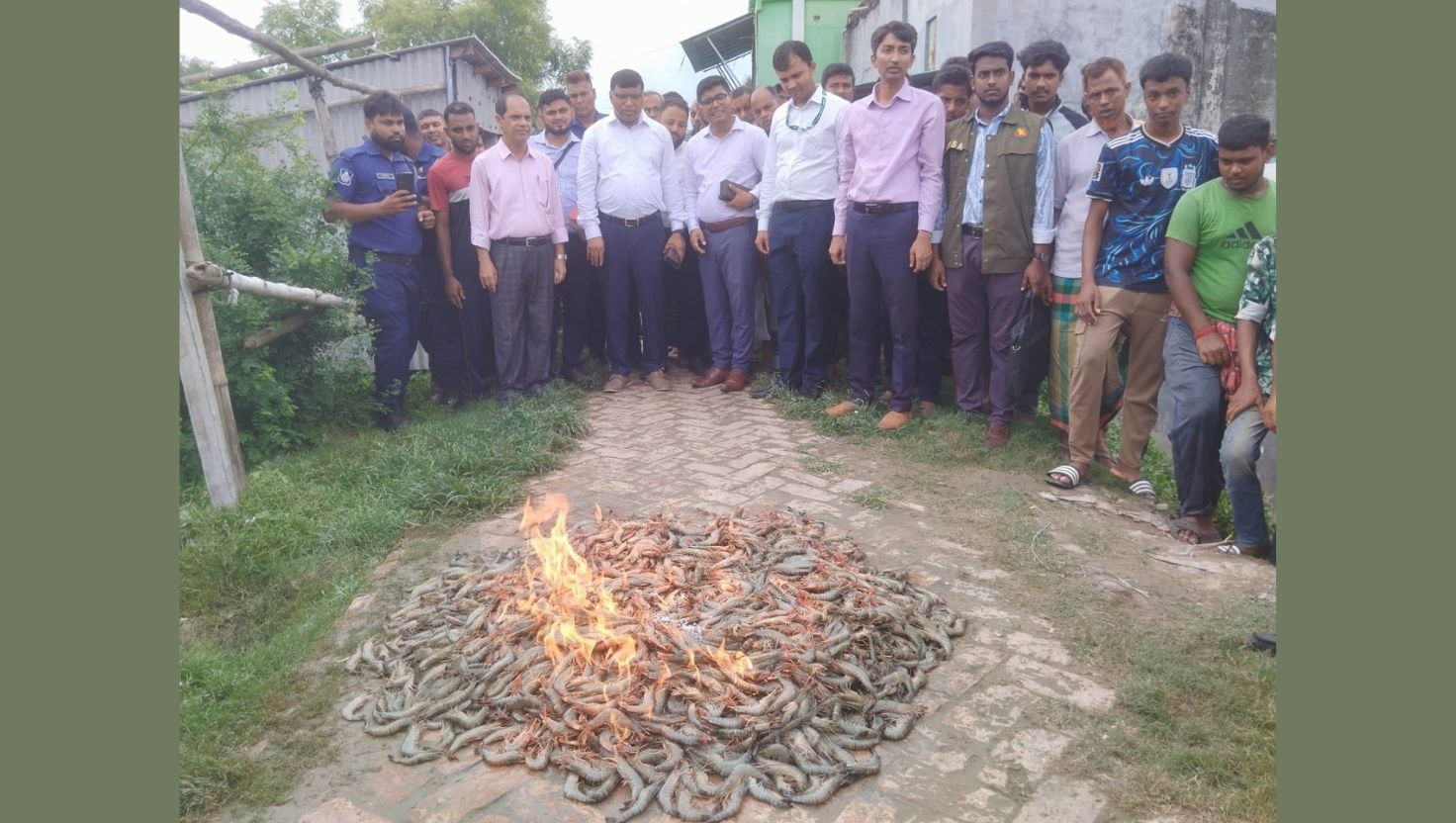 দেবহাটায় ১০০ কেজি জেলি-পুশকৃত চিংড়ি জব্দ