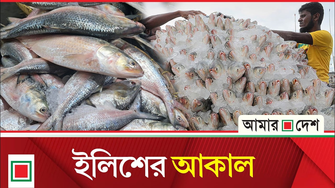 লিড নিউজ: টানা দুই বছর কমেছে ইলিশ উৎপাদন