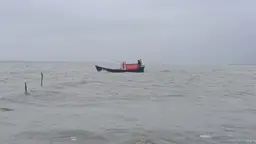 বঙ্গোপসাগরে ট্রলারডুবি, ১৪ জেলে জীবিত উদ্ধার