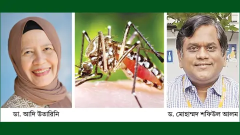 ডেঙ্গু দমনে ওলবাকিয়া ব্যাকটেরিয়া ও ভ্যাকসিন গবেষণা