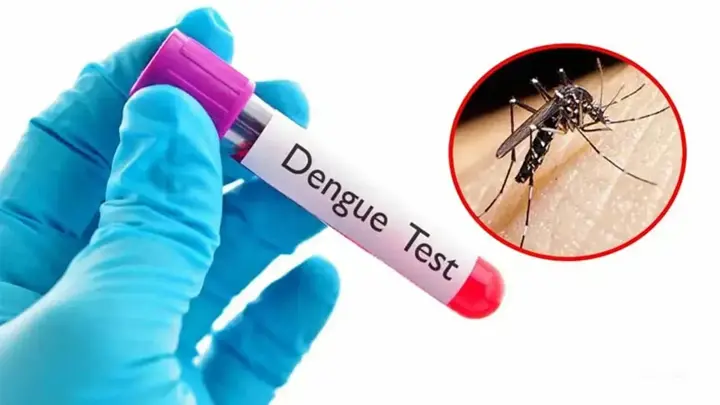 খুলনা বিভাগে ২৪ ঘণ্টায় ডেঙ্গুতে ৫ জনের মৃত্যু, নতুন ভর্তি ২৭৬
