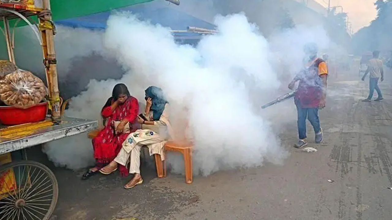 ঢাকার বাইরে বাড়ছে ডেঙ্গুর দাপট