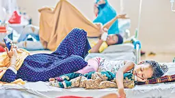 সুন্দর শরতে অসহ্য ডেঙ্গু