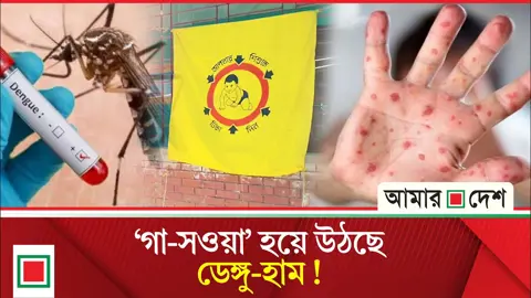 ডেঙ্গু-হাম ঠেকানোর উপায় কী?