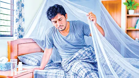 ডেঙ্গুতে আক্রান্ত হলে করণীয়