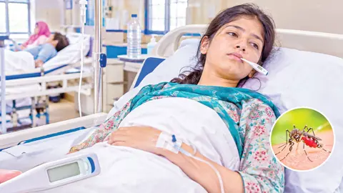 ডেঙ্গুর উপসর্গে ভিন্নতা