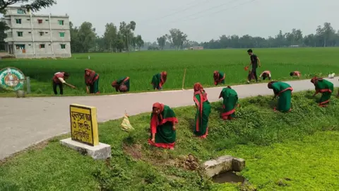 দিনাজপুরে ৩০ হাজার তালবীজ রোপণ