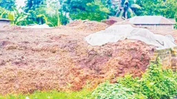 দুর্গন্ধে অতিষ্ঠ এলাকাবাসী