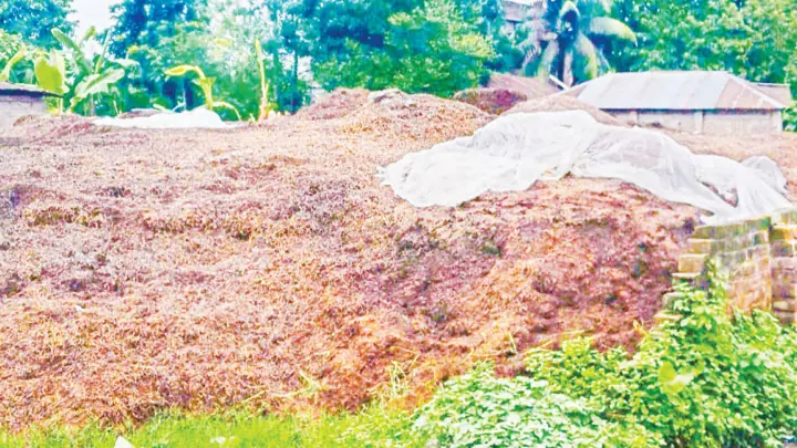দুর্গন্ধে অতিষ্ঠ এলাকাবাসী