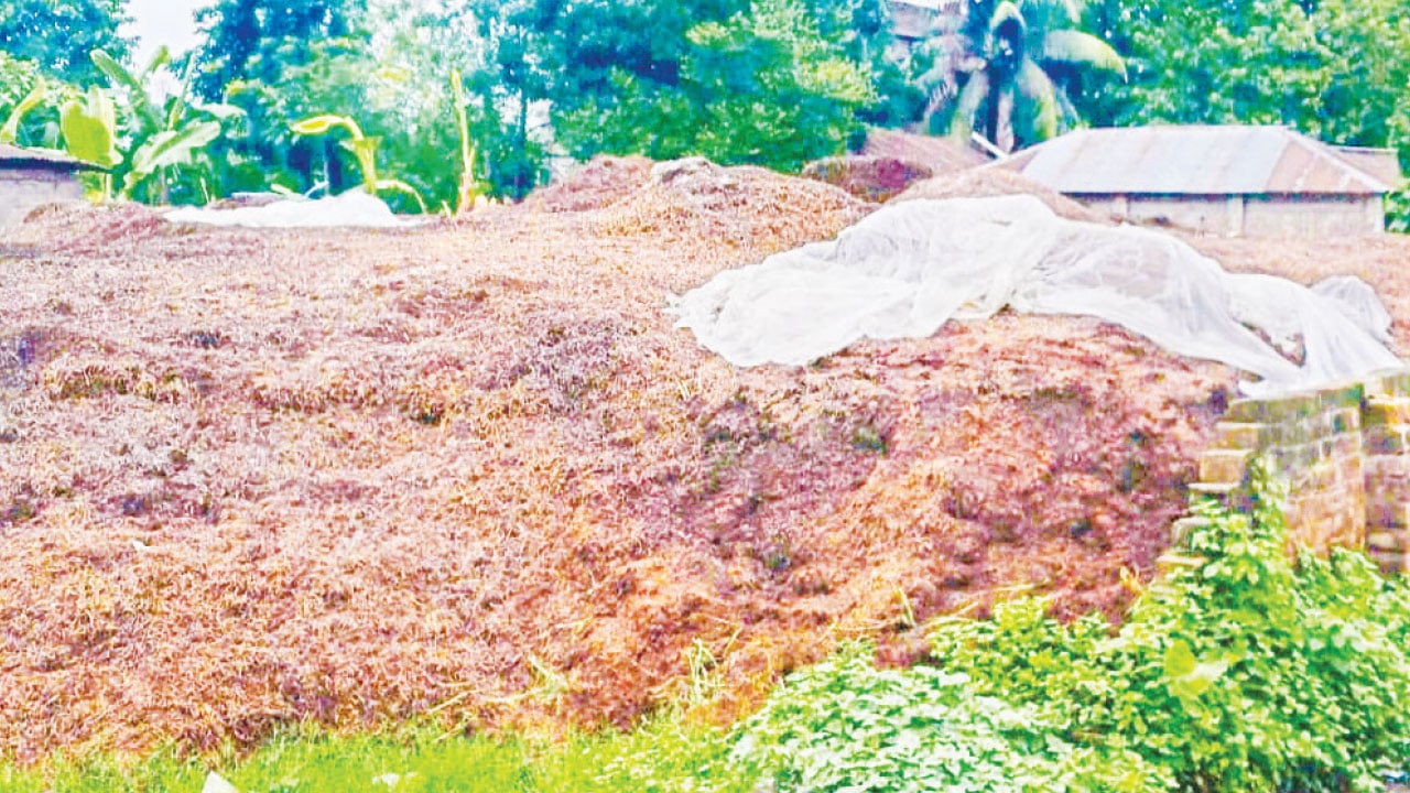 দুর্গন্ধে-অতিষ্ঠ-এলাকাবাসী