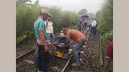 বাগাতিপাড়ায় মেরামত কাজ শেষে রেল যোগাযোগ স্বাভাবিক