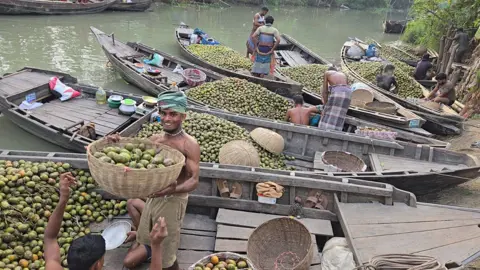 নেছারাবাদে শতবর্ষী ভাসমান হাটে কোটি টাকার বেচাকেনা