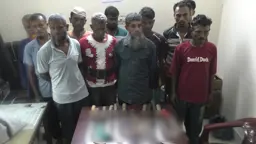 আইনজীবীর চেম্বারে অস্ত্র রেখে আদালতে হাজিরা, হত্যা মামলার ১১ আসামি আটক
