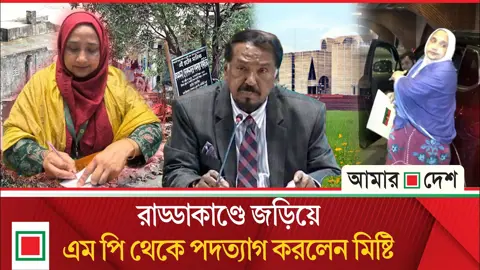 পদত্যাগ করলেন এমপি ফেরদৌসী মিষ্টি