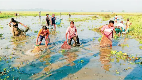 পলো বাওয়া উৎসবে মানুষের ঢল, মাছ না পেয়ে হতাশা